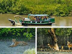 Sundarbans Wildlife Tour